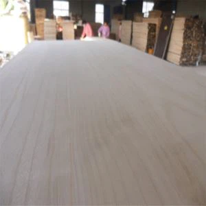 Павловния доска для кайтборда